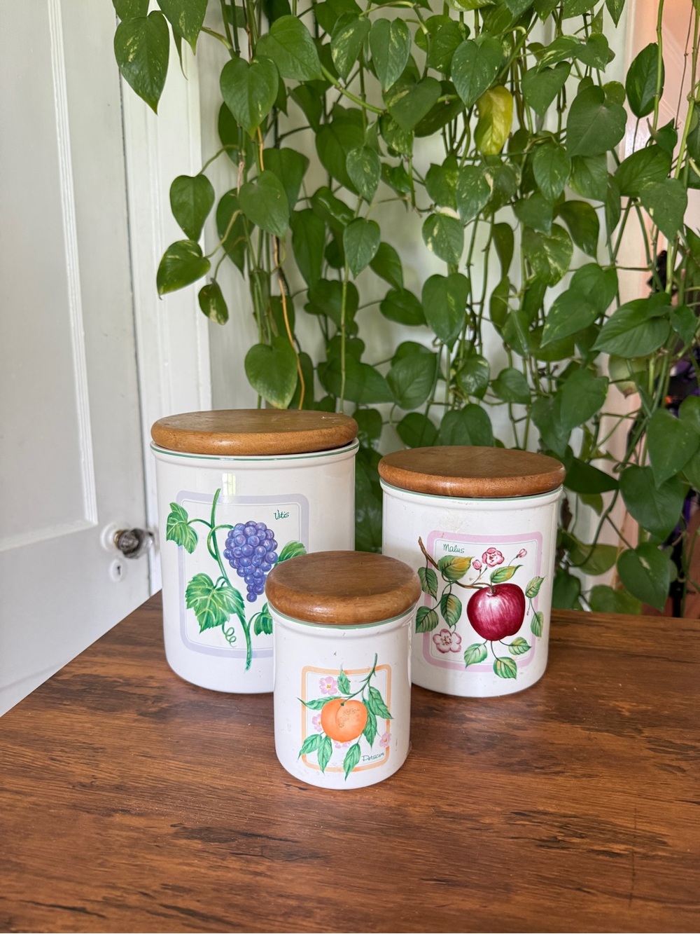 HIMARK Taiwan White Ceramic Fruit Canister Set with Wood Lids - White/Green/Red